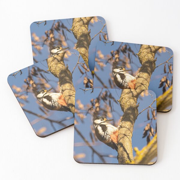 Item preview, Woodpecker on the trunk — concentrated on tapping, surrounded by autumnal forest atmosphere. designed and sold by Wolf22floW.