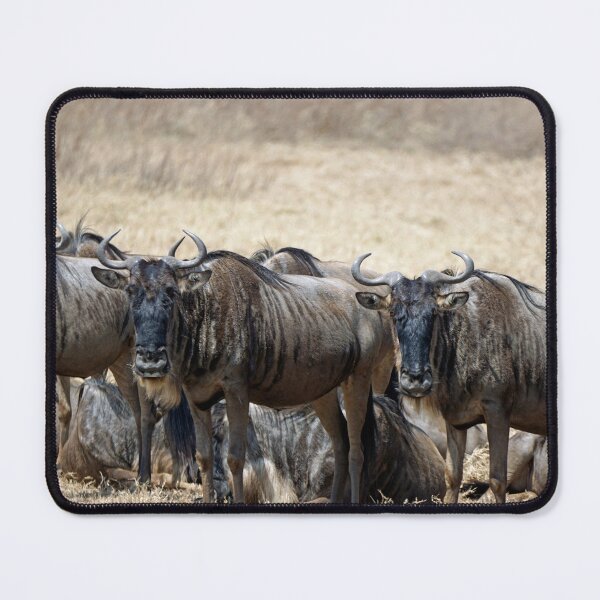 Item preview, Wildebeest herd in the Serengeti designed and sold by chriss73s.