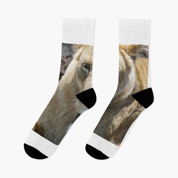 Item preview, Sereingeti Lioness designed and sold by chriss73s.