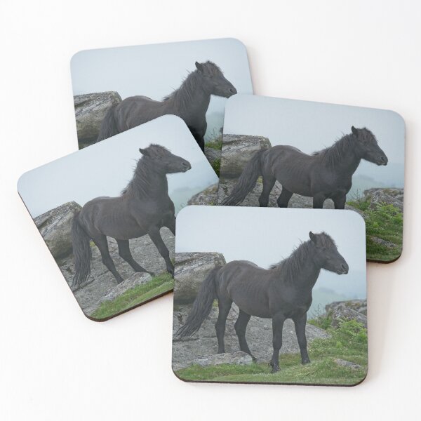Item preview, Dartmoor Heritage Pony designed and sold by rawshutterbug.