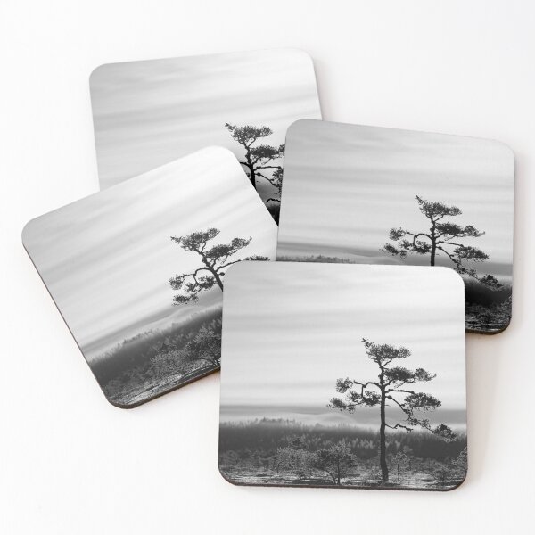 Item preview, 30.1.2026: Pine Tree designed and sold by Petri Volanen.