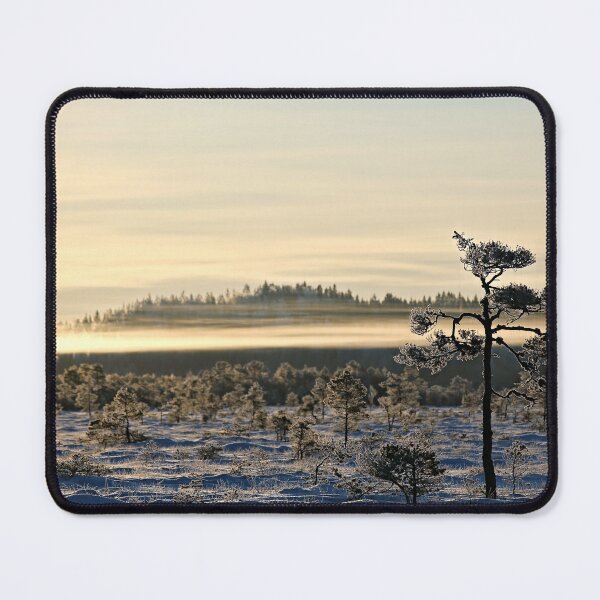 Item preview, 30.1.2026: Pine Tree designed and sold by Petri Volanen.