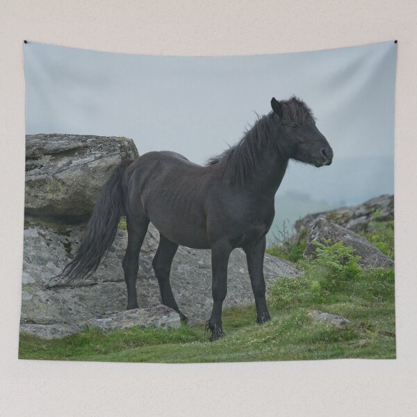 Item preview, Dartmoor Heritage Pony designed and sold by rawshutterbug.
