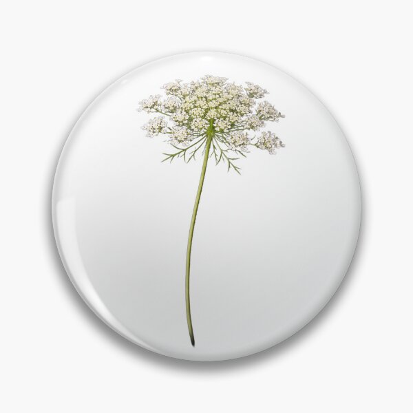Item preview, Queen Anne’s Lace designed and sold by thtCMRAguy.
