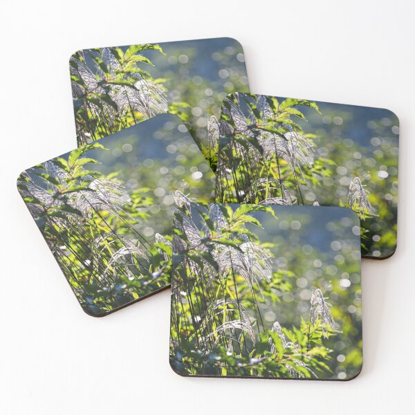 Item preview, Flowering grasses illuminated by the morning rays of the sun. designed and sold by NaturePhotography.