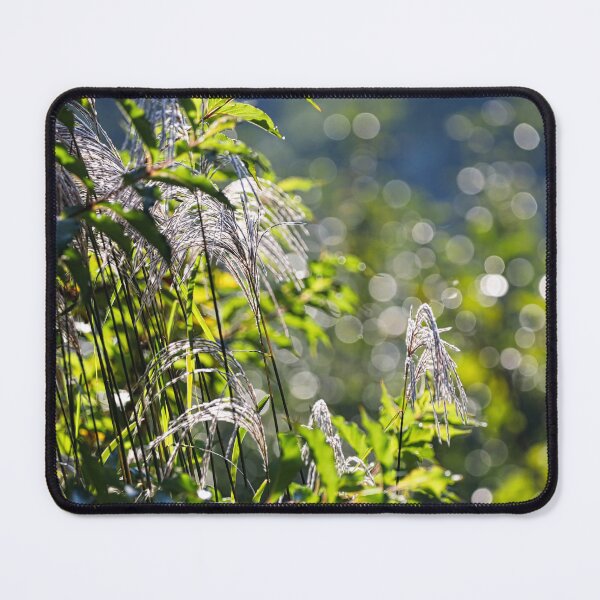 Item preview, Flowering grasses illuminated by the morning rays of the sun. designed and sold by NaturePhotography.