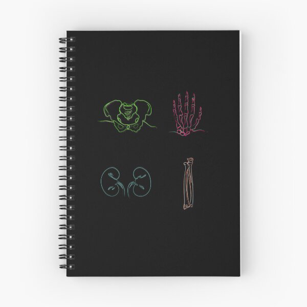 Item preview, Anatomy Icons Study Pack designed and sold by tvqemmiwwa38.