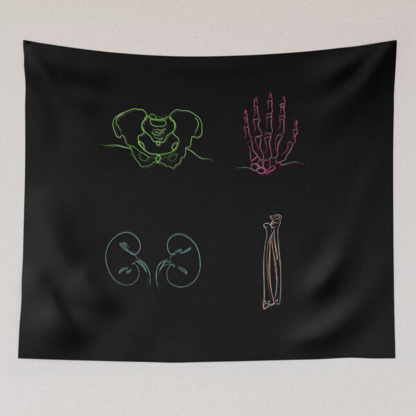 Item preview, Anatomy Icons Study Pack designed and sold by tvqemmiwwa38.