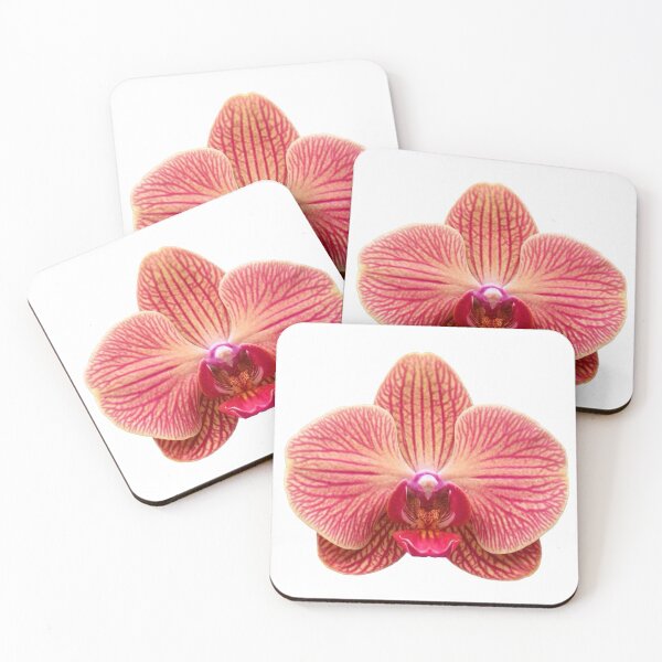 Item preview, orange pink orchid flower sticker designed and sold by inainart.