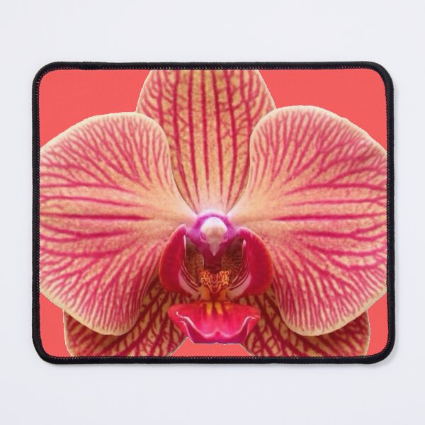 Item preview, orange pink orchid flower sticker designed and sold by inainart.