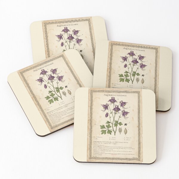 Item preview, Vintage Aquilegia Vulgaris Botanical Print designed and sold by Jeeklsdotcom.