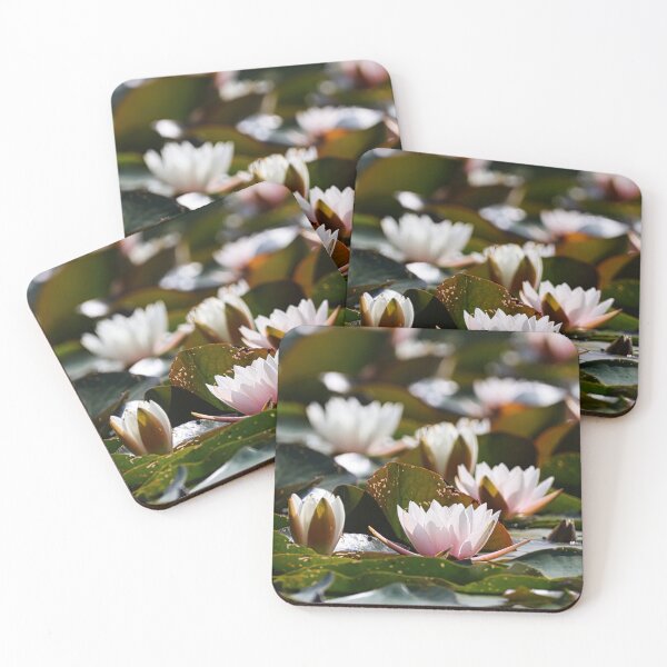 Item preview, Water lilies on a pond in full bloom in summer. designed and sold by NaturePhotography.