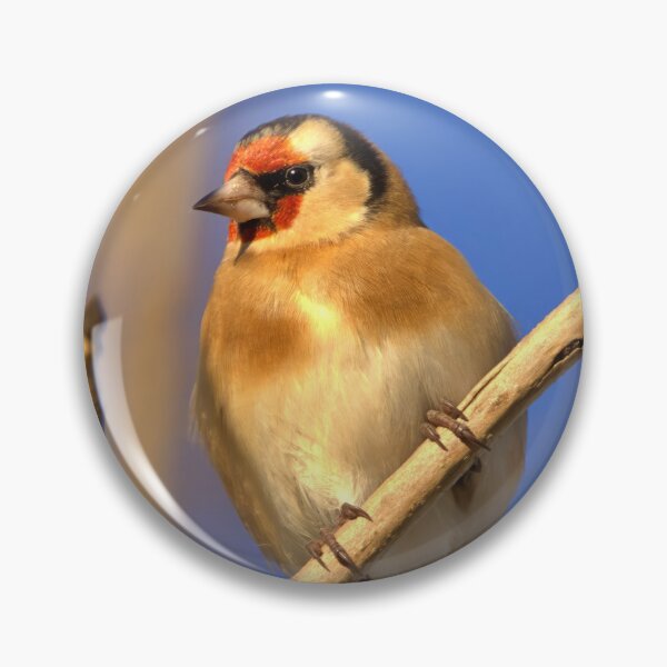 Item preview, Goldfinch designed and sold by AntonyGRobinson.