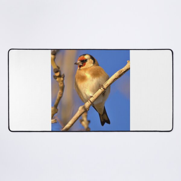 Item preview, Goldfinch designed and sold by AntonyGRobinson.