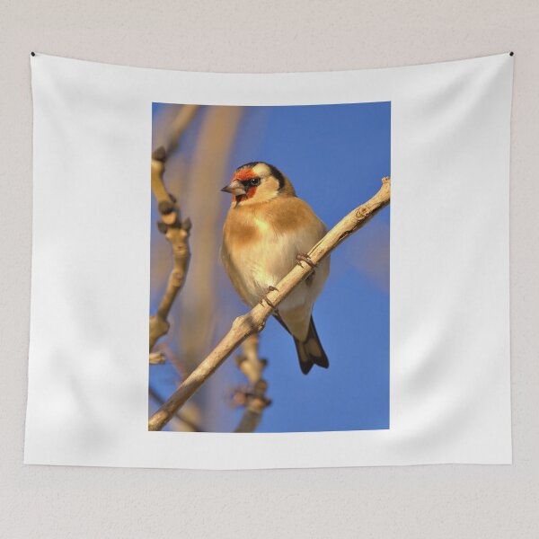 Item preview, Goldfinch designed and sold by AntonyGRobinson.