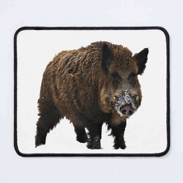 Item preview, Wild Boar #1 designed and sold by The Adventure Never Ends !!!.