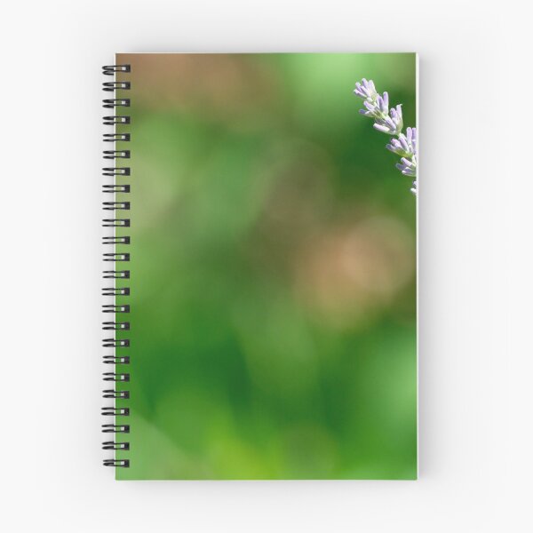 Item preview, Lavender sprig in garden  designed and sold by Photopat.
