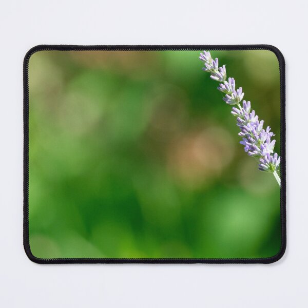 Item preview, Lavender sprig in garden designed and sold by Photopat.