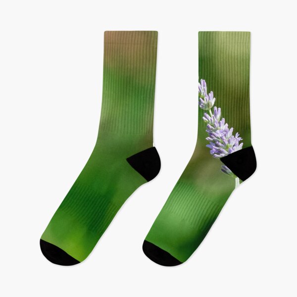 Item preview, Lavender sprig in garden  designed and sold by Photopat.