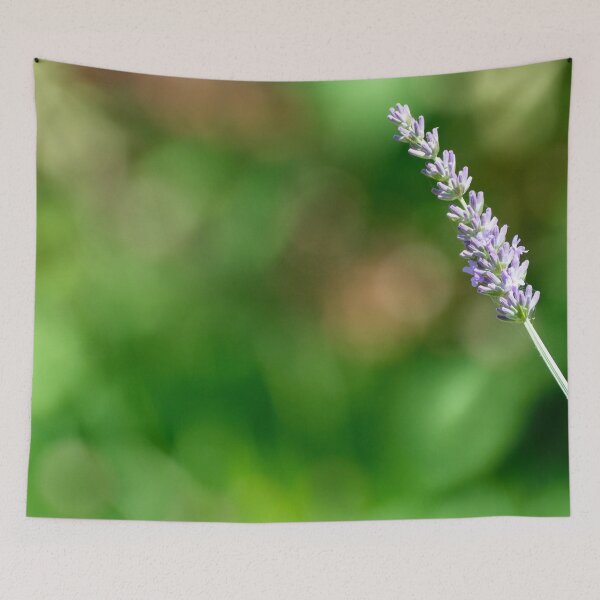 Item preview, Lavender sprig in garden  designed and sold by Photopat.