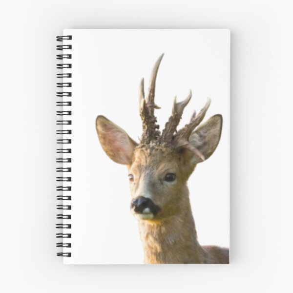 Item preview, Roe Buck #2 designed and sold by The Adventure Never Ends !!!.