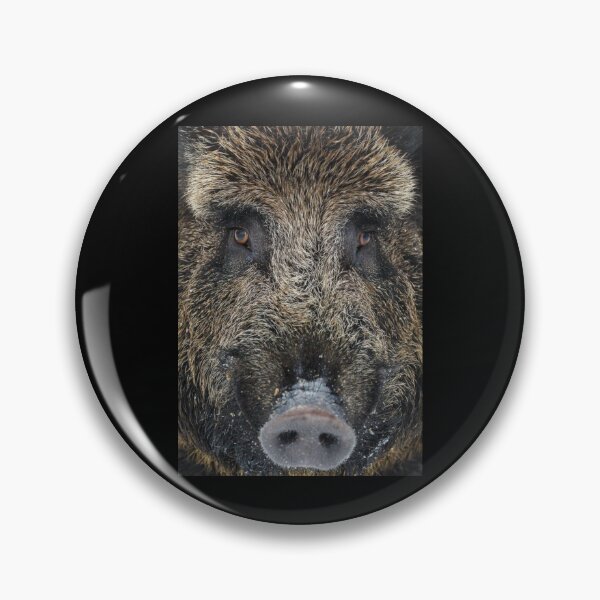 Artikelvorschau, Wildschwein Nr. 2 entworfen und verkauft von The Adventure Never Ends !!!.