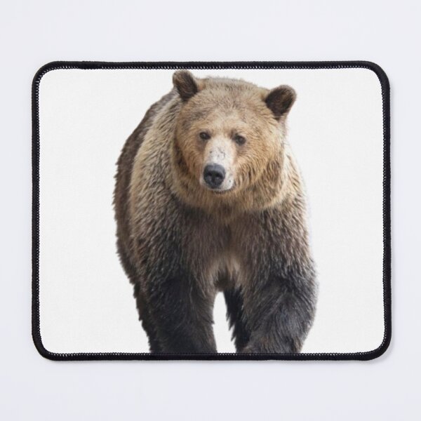 Item preview, Bear #1 designed and sold by The Adventure Never Ends !!!.