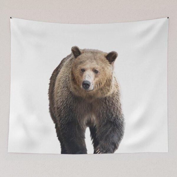 Item preview, Bear #1 designed and sold by The Adventure Never Ends !!!.
