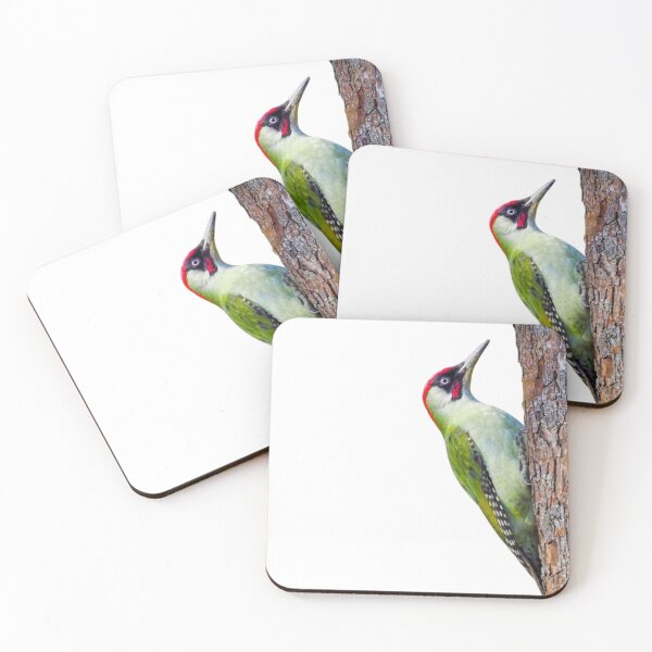 Item preview, Pájaro carpintero #2 designed and sold by The Adventure Never Ends !!!.