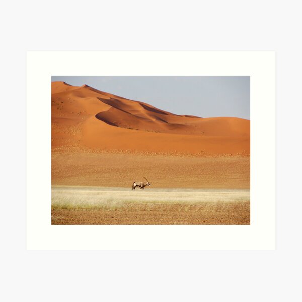 An Oryx posing Art Print