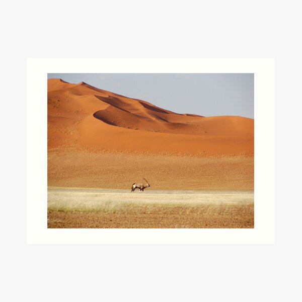 An Oryx posing Art Print