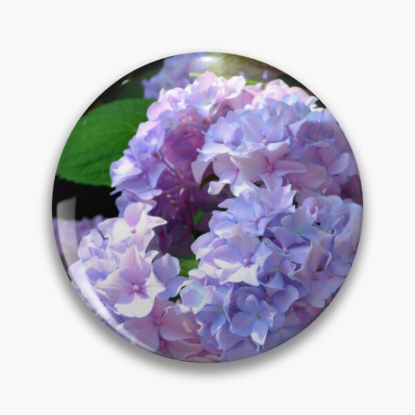 Item preview, Elegant hydrangea garden designed and sold by hollycooper.