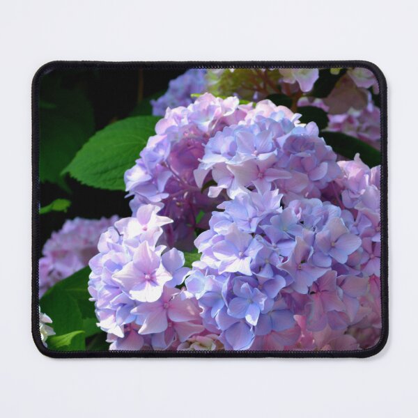 Item preview, Elegant hydrangea garden designed and sold by hollycooper.
