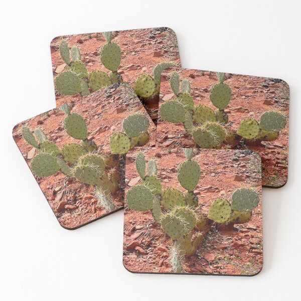 Item preview, Arizona desert | bunny ear cacti | red rocks | Sedona | Southwest landscape  designed and sold by hollycooper.