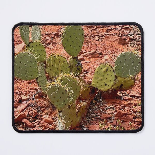 Item preview, Arizona desert | bunny ear cacti | red rocks | Sedona | Southwest landscape designed and sold by hollycooper.