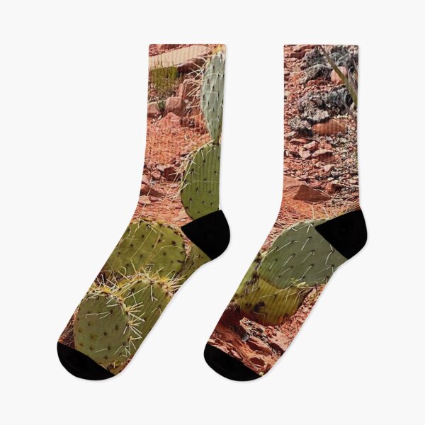 Item preview, Arizona desert | bunny ear cacti | red rocks | Sedona | Southwest landscape  designed and sold by hollycooper.