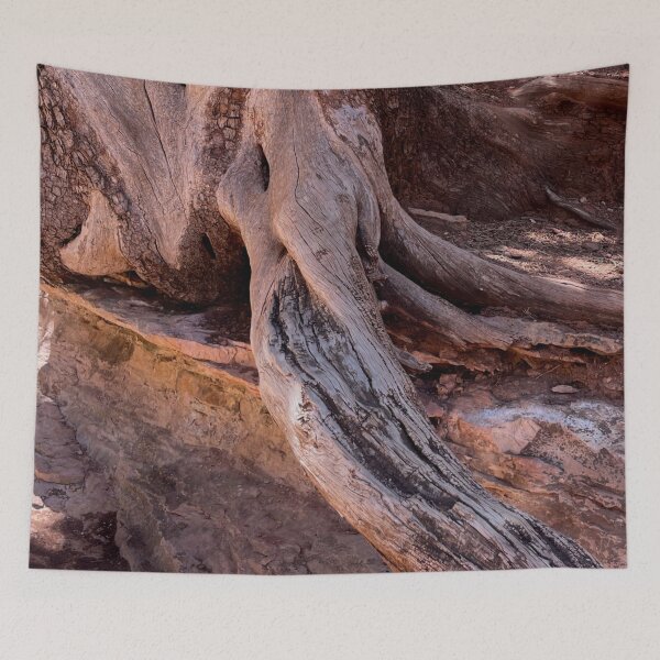 Artikelvorschau, Naturmuster des Südwestens | Abstrakte Baumrinde | Klippen in Arizona | Nationalpark Sedona entworfen und verkauft von hollycooper.
