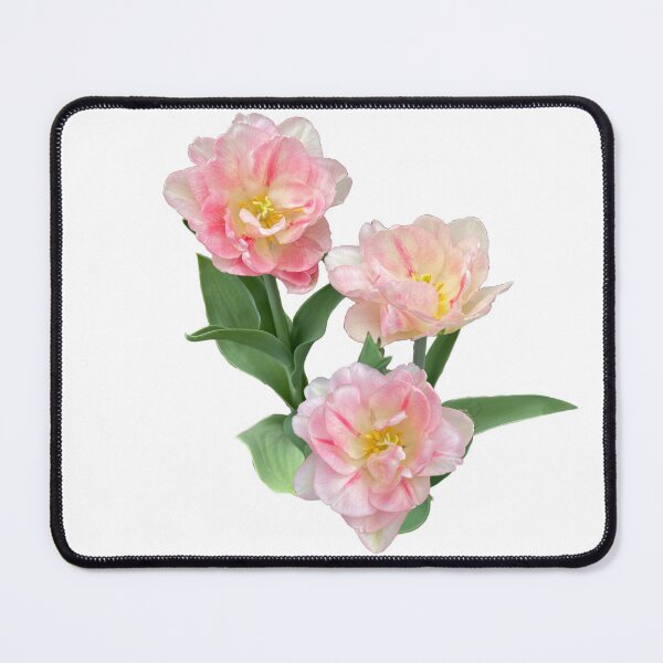 Item preview, Pink white tulips | romantic floral designed and sold by hollycooper.
