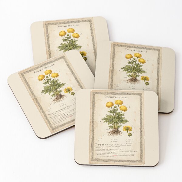Item preview, Vintage Trollius Europaeus Botanical Print designed and sold by Jeeklsdotcom.