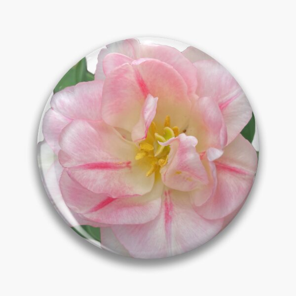 Item preview, Pink white tulip | pink floral | romantic pink spring floral photo designed and sold by hollycooper.