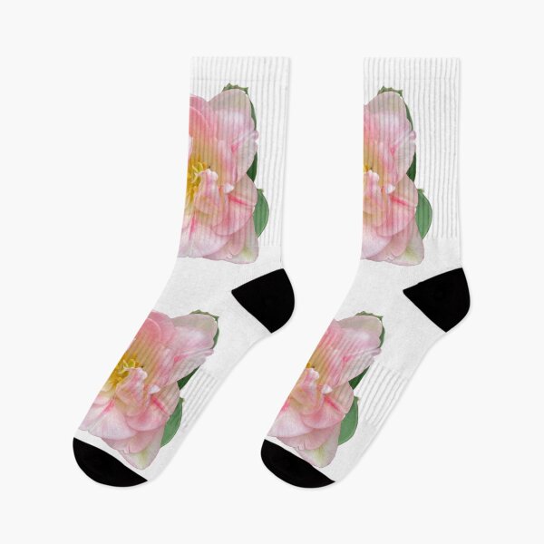 Item preview, Pink white tulip | pink floral | romantic pink spring floral photo designed and sold by hollycooper.