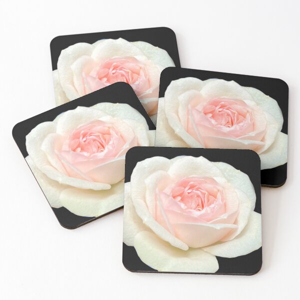 Item preview, Delicate white pink tea rose designed and sold by hollycooper.