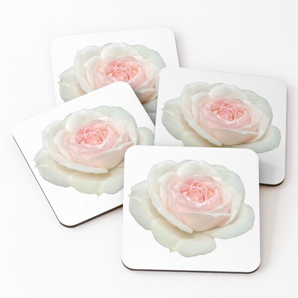 Item preview, Delicate white pink tea rose | pink floral designed and sold by hollycooper.