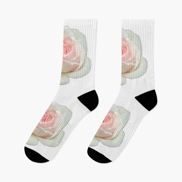 Item preview, Delicate white pink tea rose | pink floral designed and sold by hollycooper.