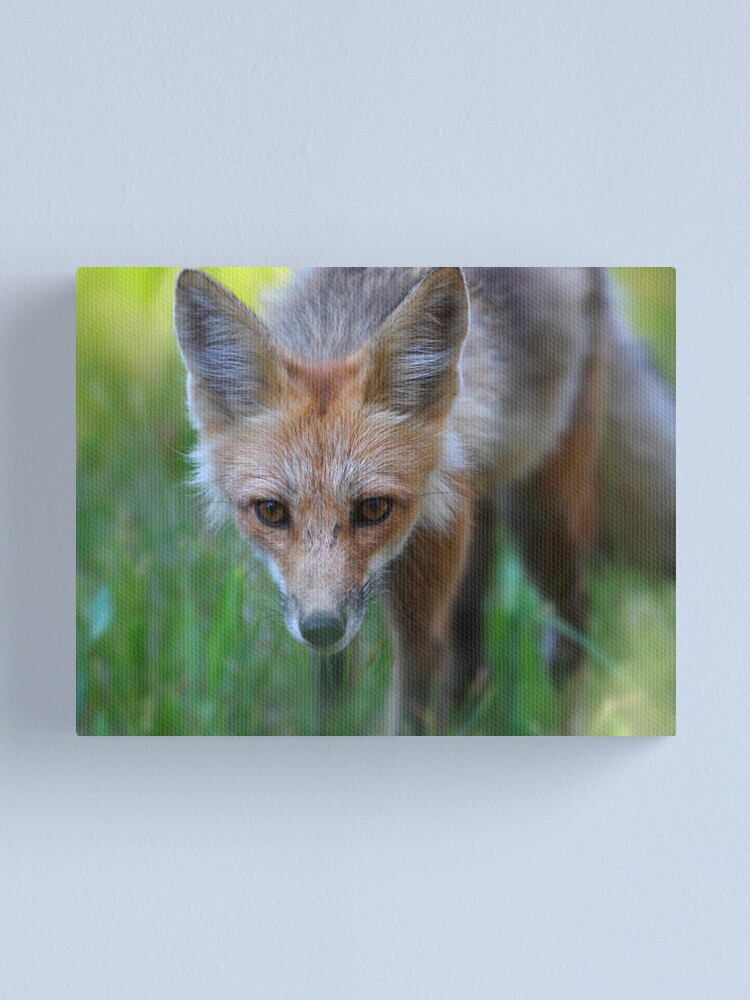 Alternate view of On the Hunt Canvas Print