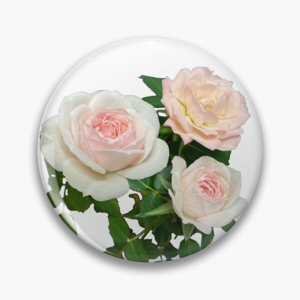 Item preview, Romantic pink and white roses | elegant floral photo  designed and sold by hollycooper.