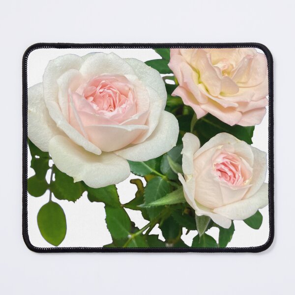 Item preview, Romantic pink and white roses | elegant floral photo  designed and sold by hollycooper.