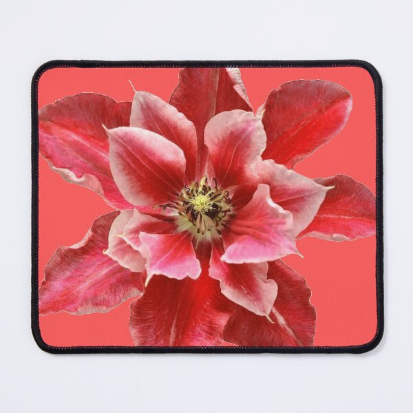 Item preview, red clematis flower sticker designed and sold by inainart.