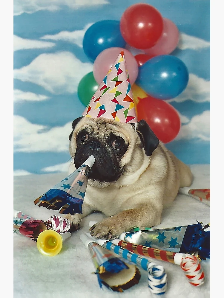 Dog Party | Dog online Birthday Party | Yard Cards | Pug | Pet- UV High resolution Coroplast printing. FULL SHEET