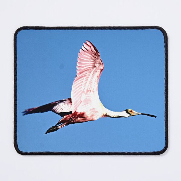 Item preview, Spoony  designed and sold by Glennphotos.